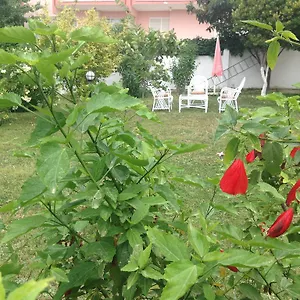  Otel Ayda Türkiye